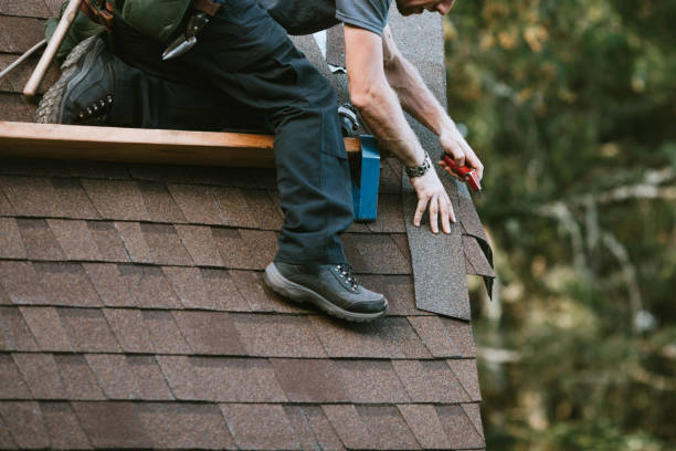 Best Roof Gutter Cleaning  in La Grange Park, IL